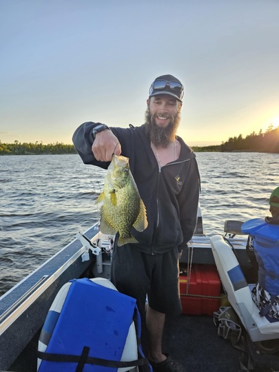Black Crappie