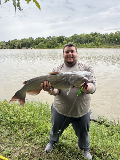 Channel Catfish