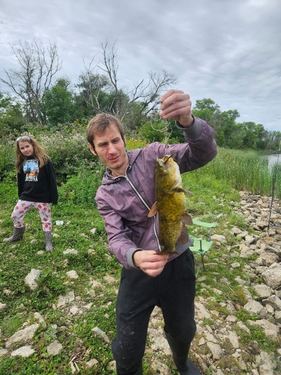 Bullhead