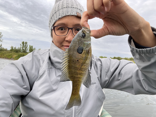 Sunfish