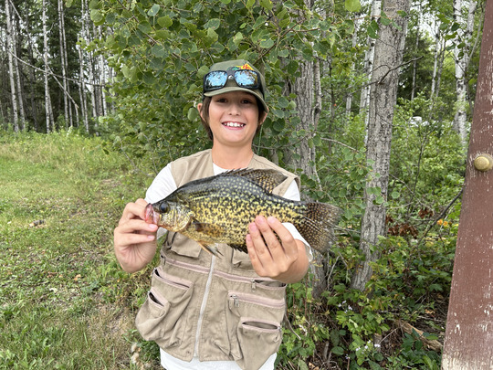 Black Crappie
