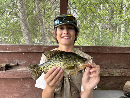 Black Crappie