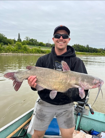 Channel Catfish