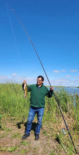 Bullhead