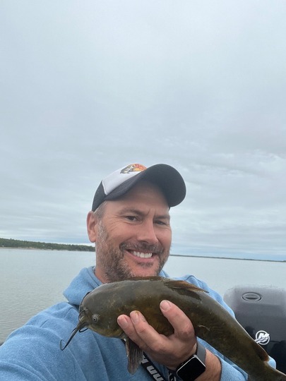 Bullhead