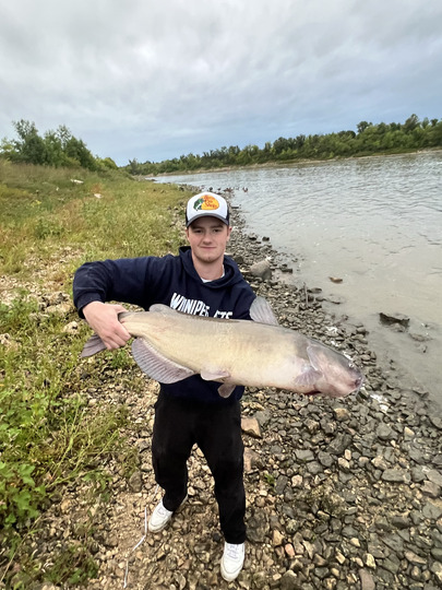 Channel Catfish