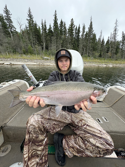 Rainbow Trout