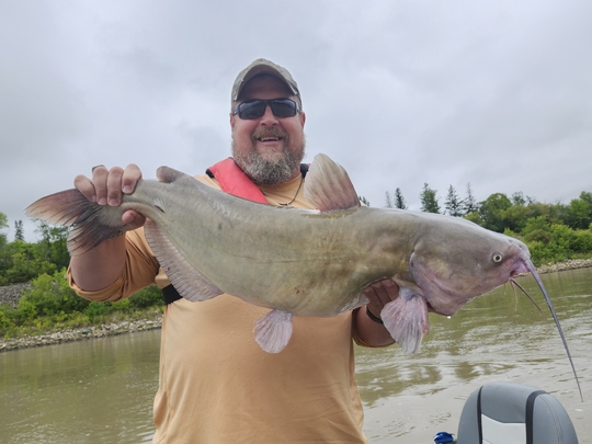 Channel Catfish