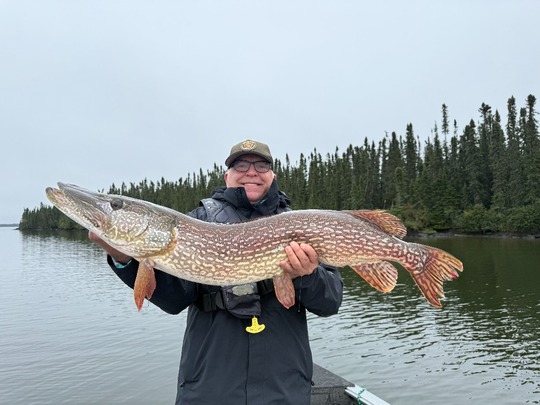 Northern Pike