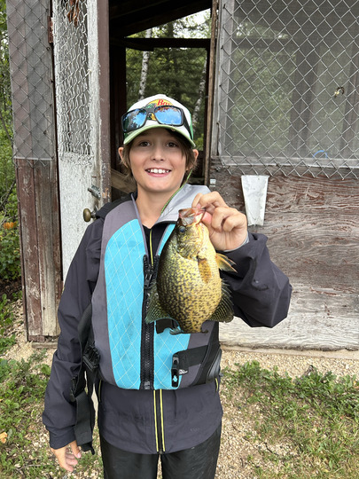 Black Crappie