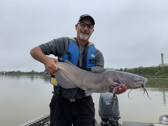 Channel Catfish