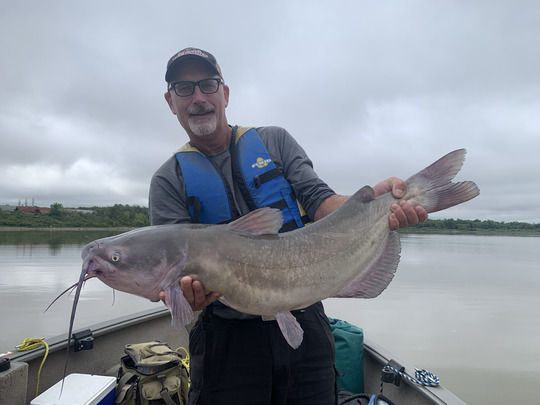Channel Catfish