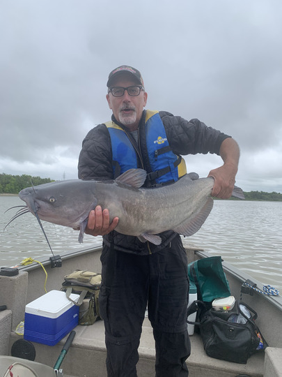 Channel Catfish