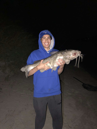 Channel Catfish