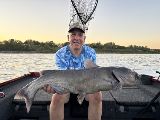 Channel Catfish