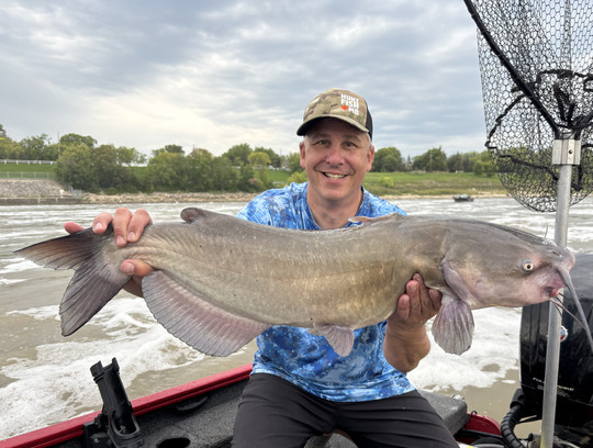 Channel Catfish