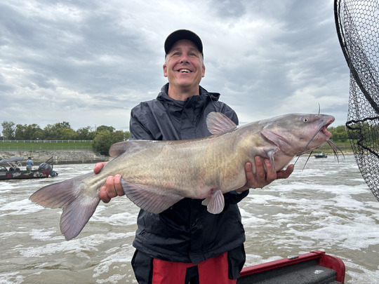 Channel Catfish
