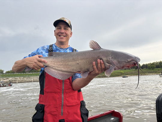 Channel Catfish