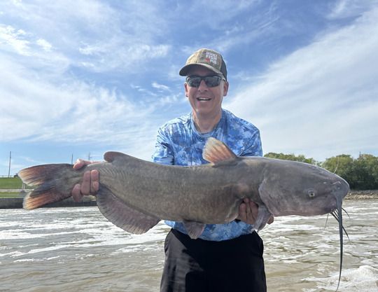 Channel Catfish