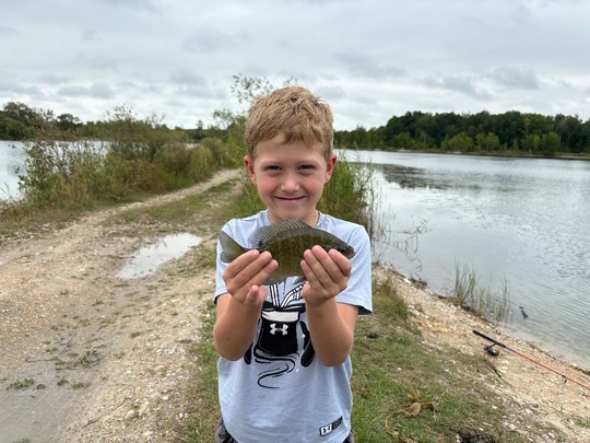 Sunfish