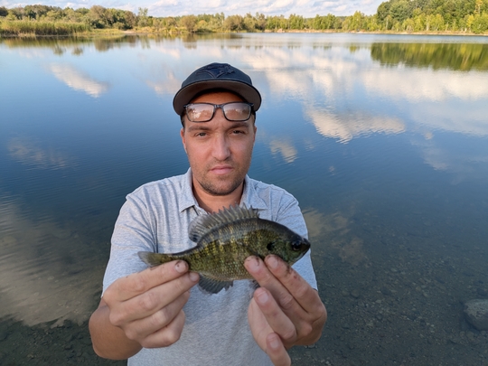 Sunfish