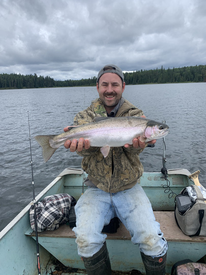 Rainbow Trout