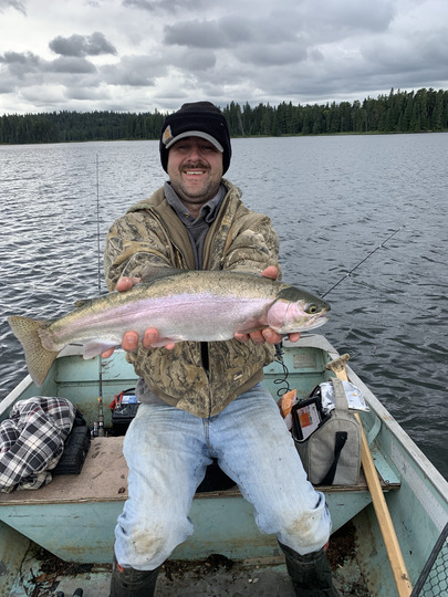 Rainbow Trout