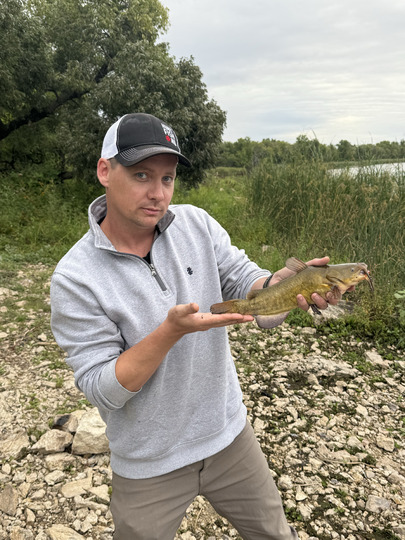 Bullhead