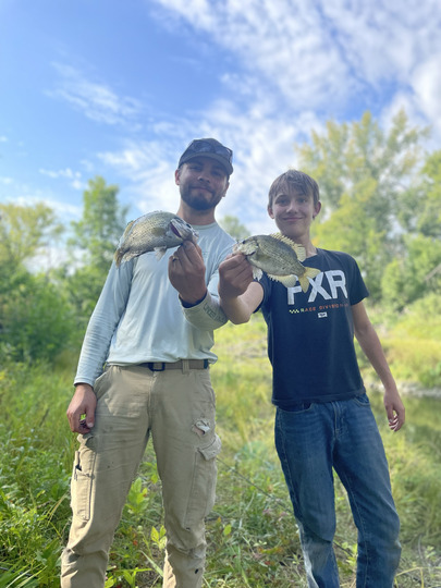 Rock Bass
