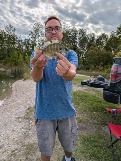 Sunfish