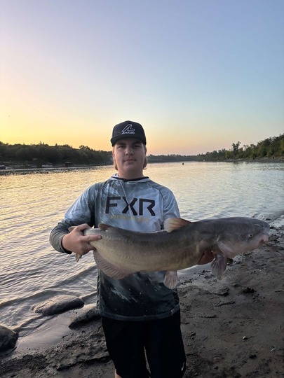 Channel Catfish