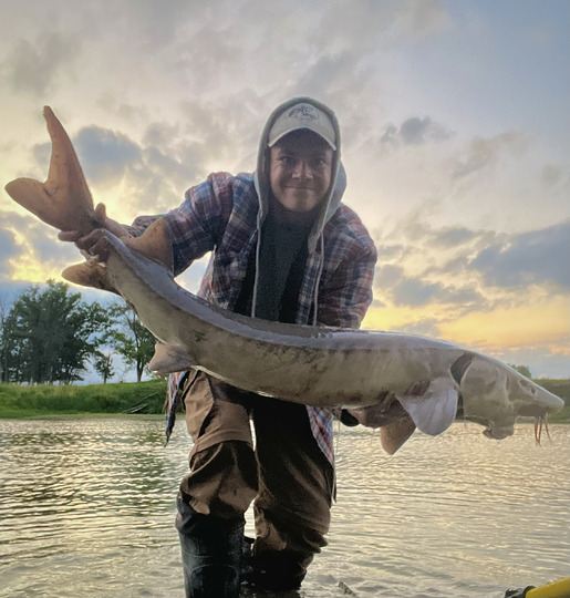 Lake Sturgeon