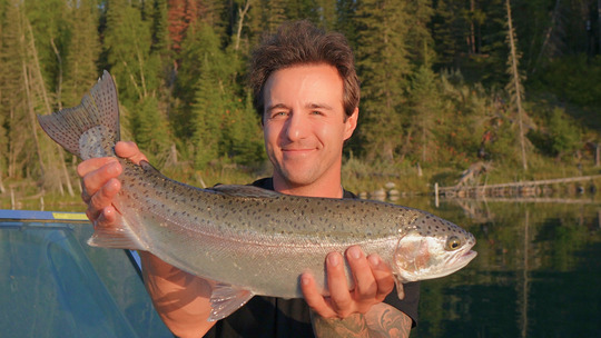 Rainbow Trout