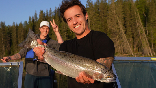 Rainbow Trout