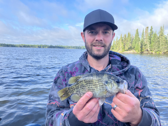 Rock Bass