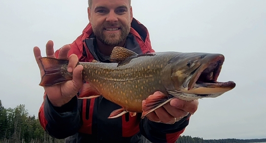 Brook Trout