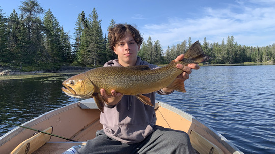 Tiger Trout