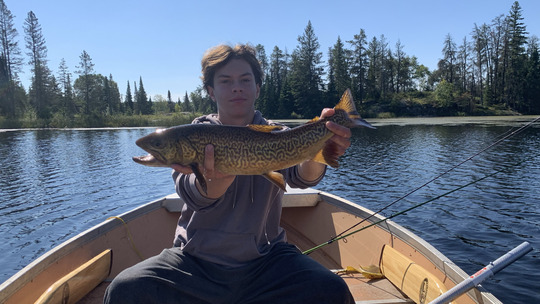 Tiger Trout
