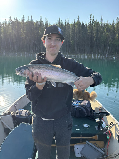 Rainbow Trout