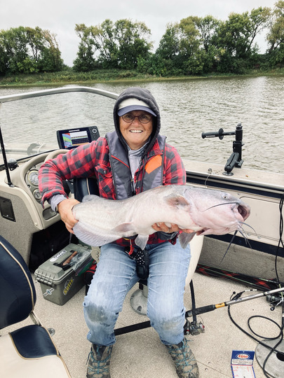 Channel Catfish