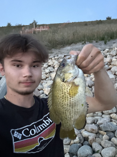 Rock Bass