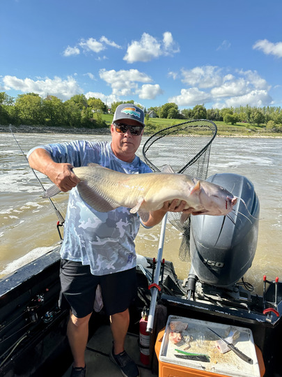 Channel Catfish