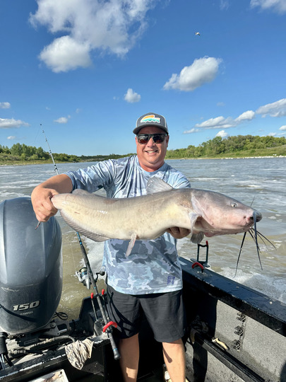 Channel Catfish