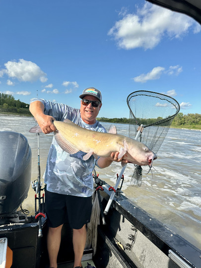 Channel Catfish