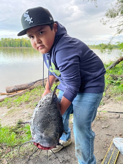 Channel Catfish