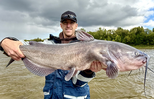 Channel Catfish