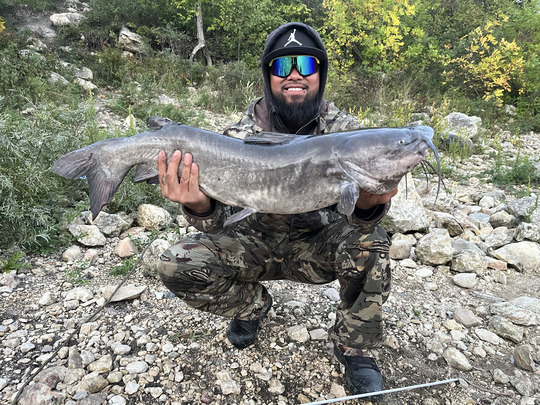 Channel Catfish