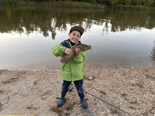 Bullhead