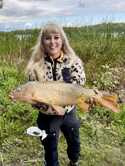 Common Carp