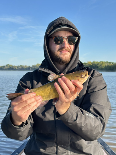 Bullhead